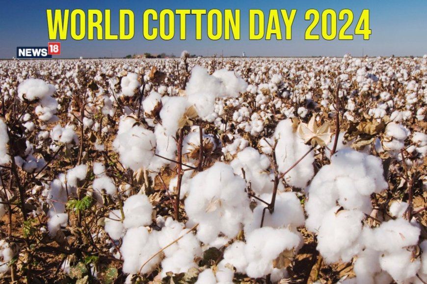 World Cotton Day 2024: Date, History, Significance and Types of Cotton Fabric