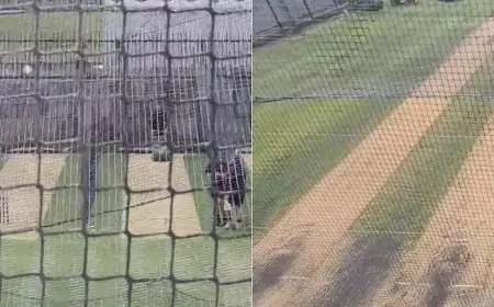 Used Practice Pitches For India, New For Australia? Fresh Row Erupts