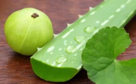 Aloe Vera And Amla Shot: A Natural Remedy For Promoting Hair Health