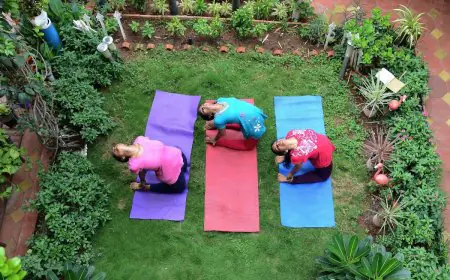 YogMantra | Mild Stretches That Feel Good On The Back And Ease Tension