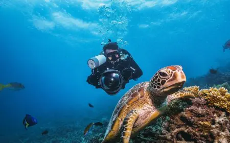 5 Activities To Do With Your Partner In Your Next Visit To Australia