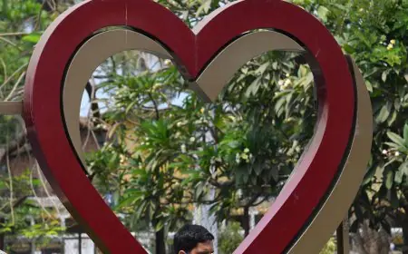 Year Of The Heart: 2024 Saw Big Jump In Check-Ups; Here's How India Plans To Fight Cardiac Diseases