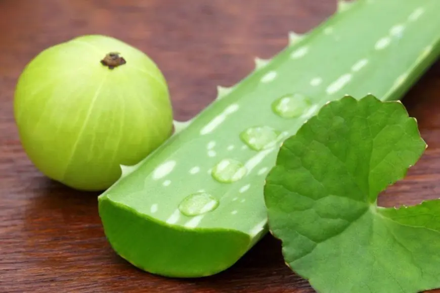 Aloe Vera And Amla Shot: A Natural Remedy For Promoting Hair Health