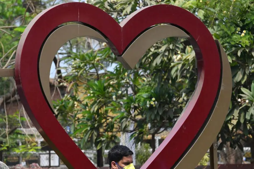 Year Of The Heart: 2024 Saw Big Jump In Check-Ups; Here's How India Plans To Fight Cardiac Diseases