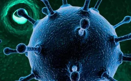 What Is HMVP Virus-China's Recent Pandemic-Like Outbreak? Explained