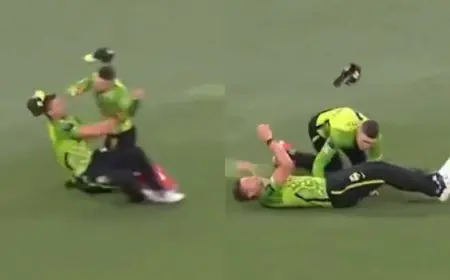 Video: Horrific Collision Rocks Big Bash League. Aus Star Stretchered Off
