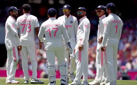 Updated WTC Table After India Lose Border-Gavaskar Trophy After 10 Years