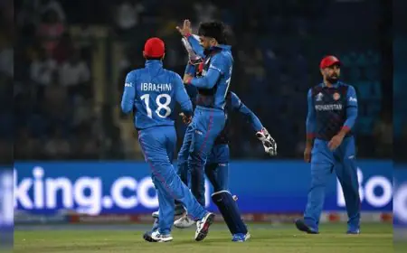 Champions Trophy: England Urged To Boycott Afghanistan Match. Here's Why