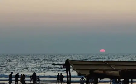 Where To Stay And What To Do In Goa: The Ultimate First-Timer's Guide