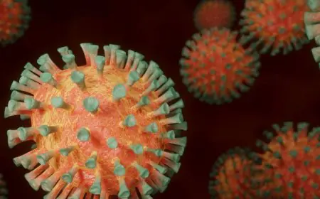 Why Antibiotics Can't Treat Human Metapneumovirus? The Importance of Immunity