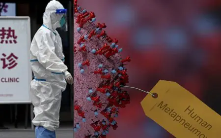 Comparing HMPV and COVID-19: Key Differences and Similarities in Respiratory Infections