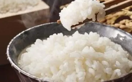 Reignite Your Love for Rice This Winter