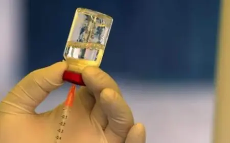 The Impact of Human Metapneumovirus (HMPV) on Children and the Elderly: A Growing Health Concern