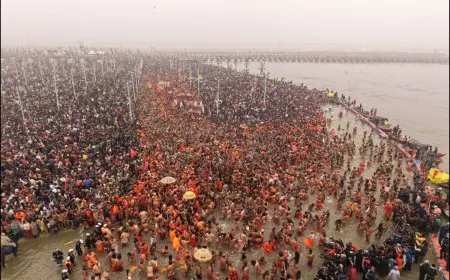 Mahakumbh Mela 2025 LIVE: Crores Of Devotees Take 1st 'Amrit Snan' In Sangam Amid Dipping Temperature