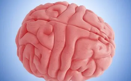 Is Your Lifestyle Accelerating Brain Aging? Experts Reveal Silent Killers and Harmful Habits