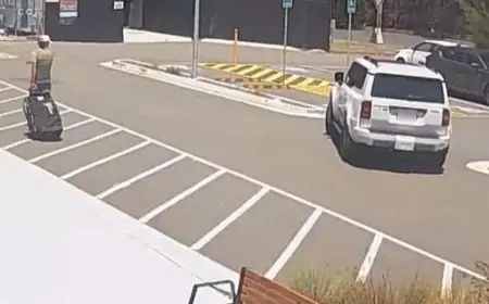 Sam Konstas Effect: Fan's Car Crashes While Seeking Selfie With Star. Watch