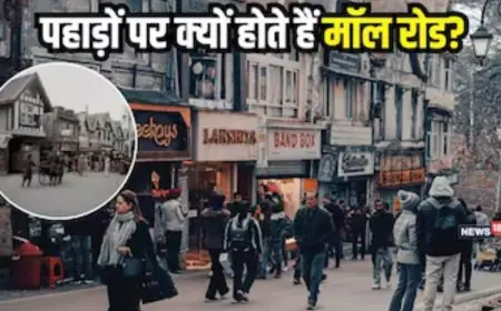 Why Do All Indian Hill Stations Have A 'Mall Road'? | Explained