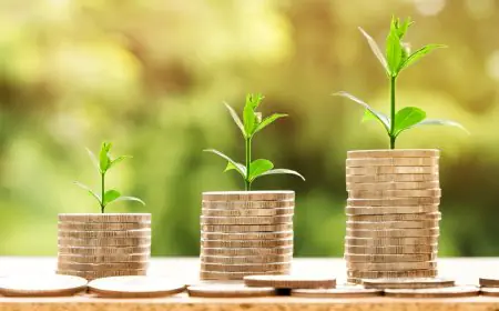 Grey Market Premium (GMP) in IPOs: What It Means and How It Works