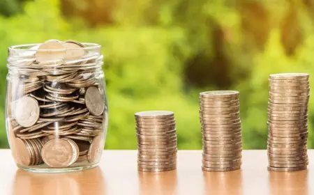 Dezerv: Revolutionizing Portfolio Management with 0 Percent Fixed Fees and Expert-Led Performance