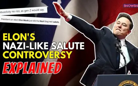 Elon Musk's 'Nazi Salute' Row: Internet Outraged, Ex Grimes Reacts But He Doesn't Care? | EXPLAINED