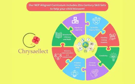 Revolutionizing Early Childhood Education with Chrysaellect Education Solutions