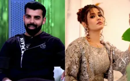 "Even If Cricketers...": Pak Star's Blunt Reply On TikTok Star's Revelation