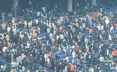 Watch: Delhi Stadium Emptied In Minutes After Virat Kohli's Dismissal