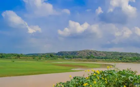 Damdama Lake To Sultanpur National Park, Top Places To Visit In Delhi NCR