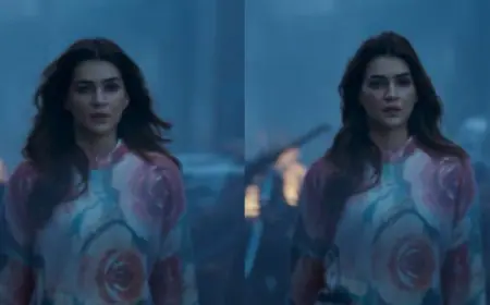 Loved Kriti Sanon's Sweater In Tere Ishq Mein Teaser? Here's How Much It Costs