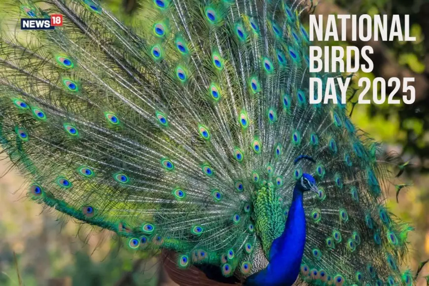 National Bird Day 2025: History, Significance, And How To Celebrate on January 5