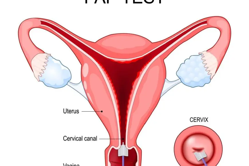 Why Regular Pap Smears and HPV Tests Are Crucial for Women’s Health?