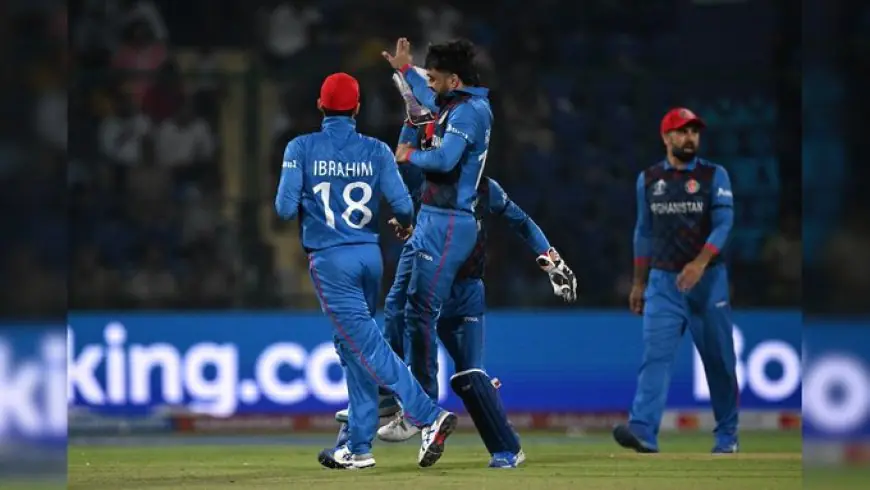 Champions Trophy: England Urged To Boycott Afghanistan Match. Here's Why