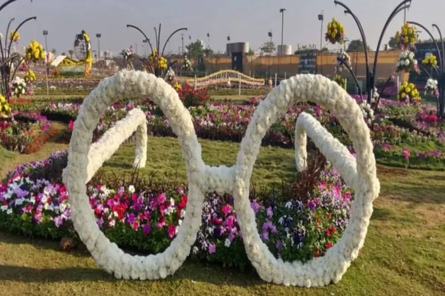 Plan Your January Getaway: A Visit to the Ahmedabad Flower Show