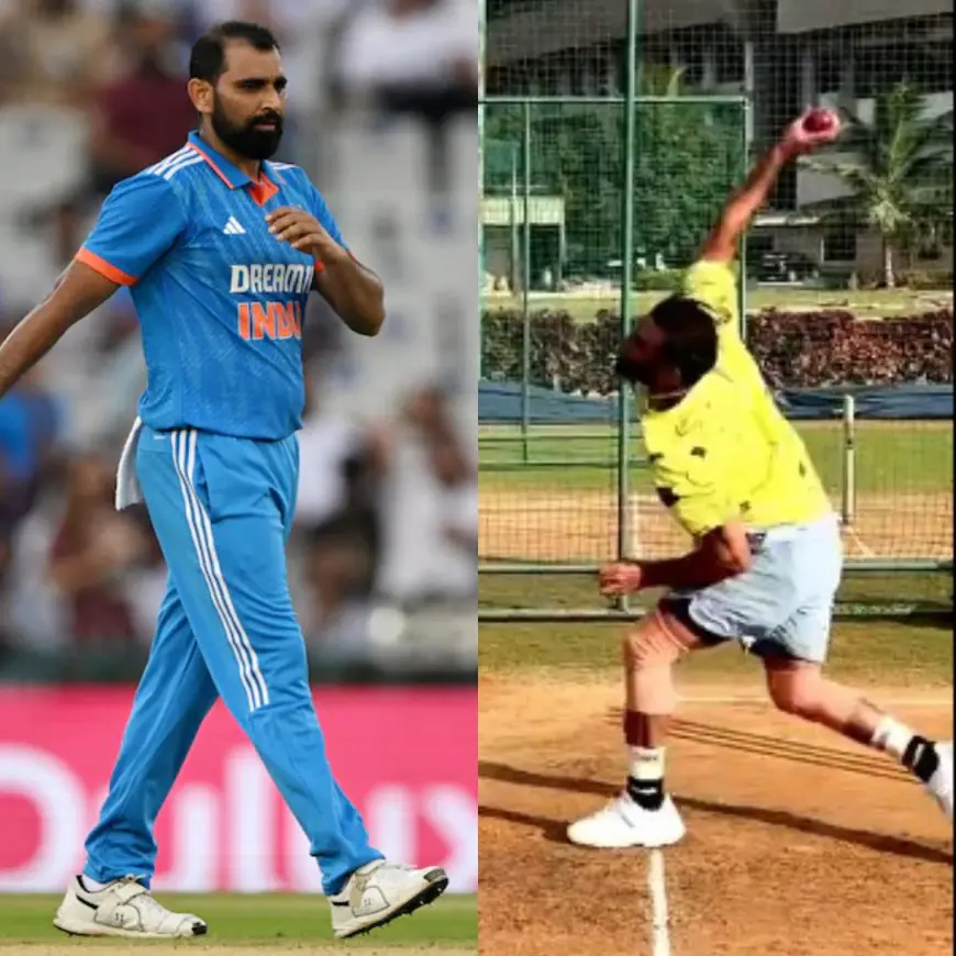 Shami Sends Massive Champions League Trophy To India Selectors - Video