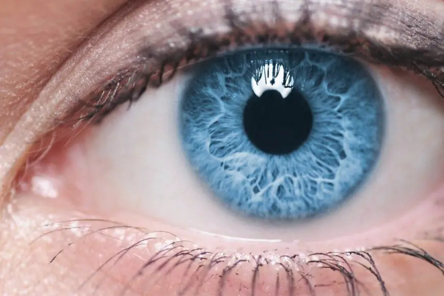 Glaucoma Awareness Month: The Silent Thief of Sight; Why Early Detection is Critical?