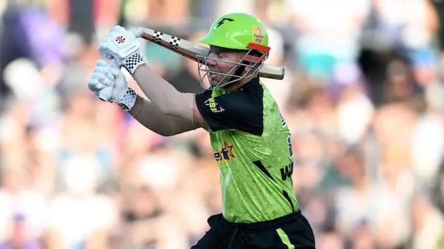 Warner Nearly Injures Himself After Bat Breaks In Bizarre Incident - Video