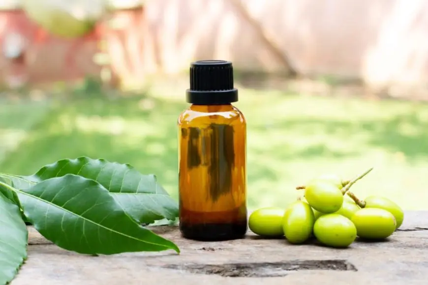 Say Goodbye to Bald Patches with This Neem Oil Remedy