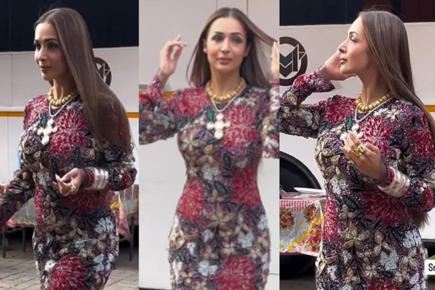 Malaika Arora Proves Less Is More In Yet Another Glam Look; Watch Video