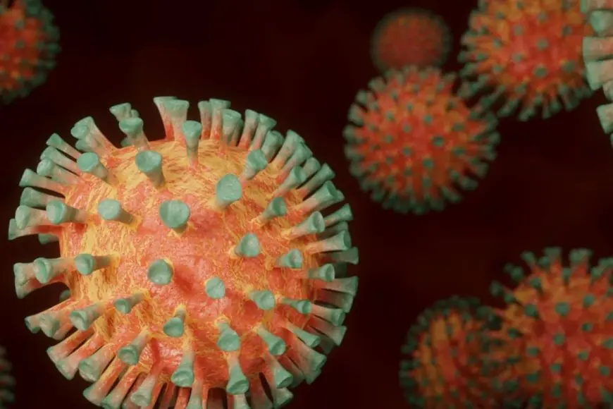 Why Antibiotics Can't Treat Human Metapneumovirus? The Importance of Immunity