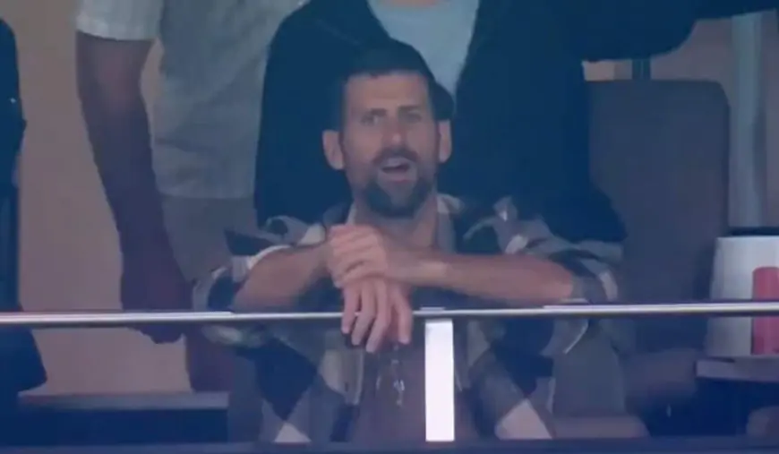 Djokovic Left Gobsmacked By Stoinis' Bizarre Dismissal In BBL. Video Viral