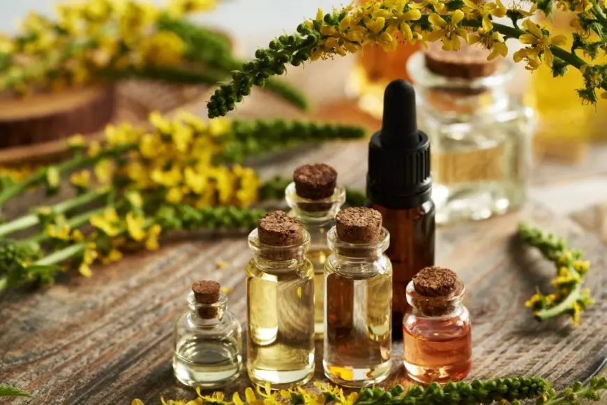 The Magic of Floral Essential Oils in Skincare, Haircare, and Perfumery