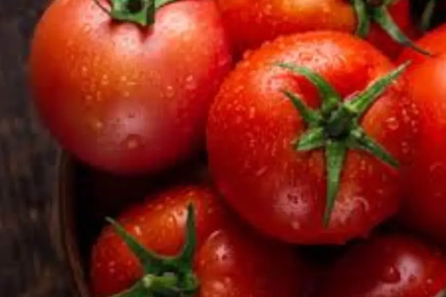 Do Your Tomatoes Burst In The Winters? Add This Liquid Along With Water In Your Plant