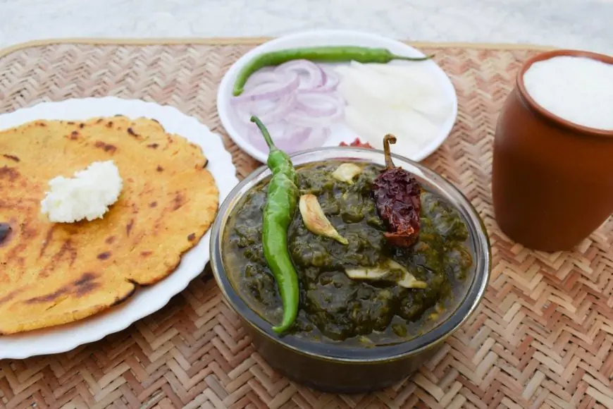 Exploring India's Food Diversity: A Culinary Journey Across India