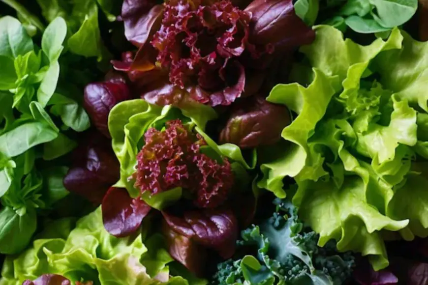 Spinach, Kale, Mustard Greens: Avoid These Leafy Greens If...