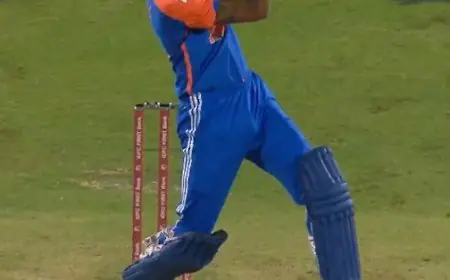 Watch: Pandya's 'No-Look 6' To Slam 50 Viral. Internet Says, 'Greatest'