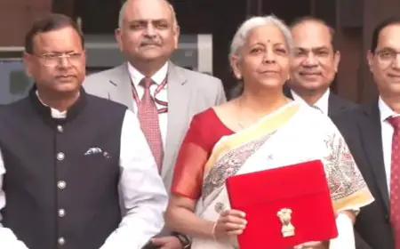 Finance Minister Nirmala Sitharaman Showcases Madhubani Art With Poise In A Cream Saree