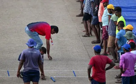 After Umpire, Only Indian Elite Match Referee Quits Champions Trophy In Pak