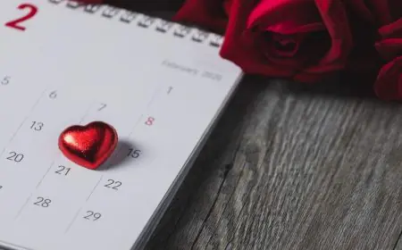 Valentine's Week Calendar 2025: Rose Day, Propose Day To Valentine's Day, All 7 Days Of Love
