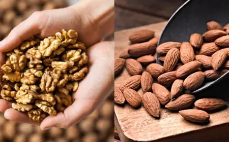 Walnuts Vs Almonds: What Should You Choose For Better Memory?