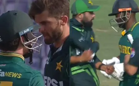 "Shameless": Afridi, Pakistan Slammed After Aggressive Acts vs SA. Watch